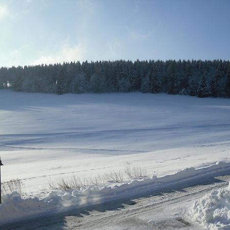 Apartment Sonnenschein Braunlage Esterno foto