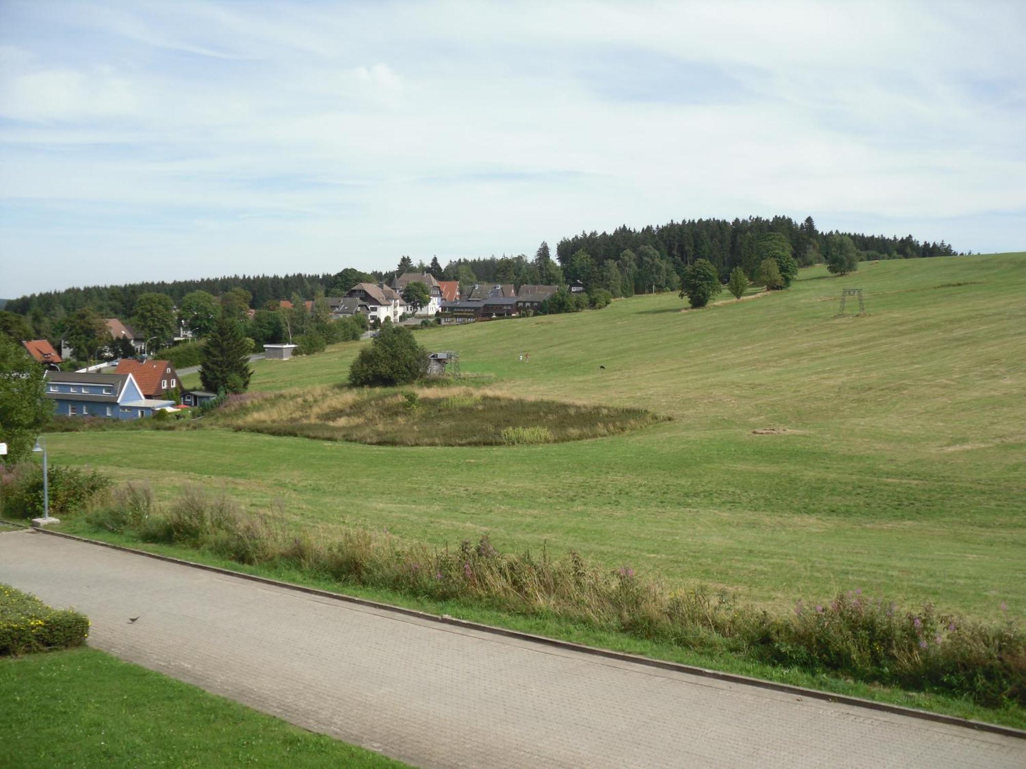 Apartment Sonnenschein Braunlage Esterno foto